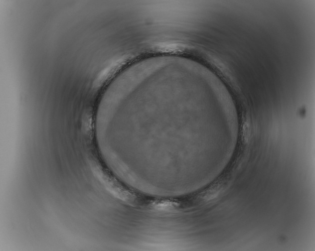 X0000111160407200907211231