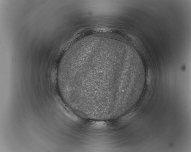 X0000111160409200907211231