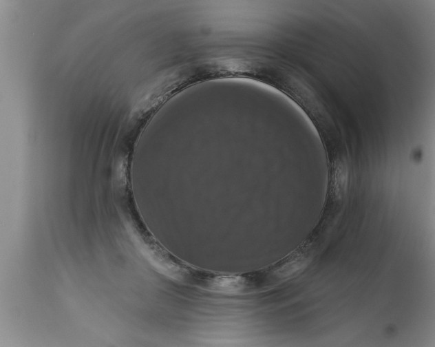 X0000111160410200907211231