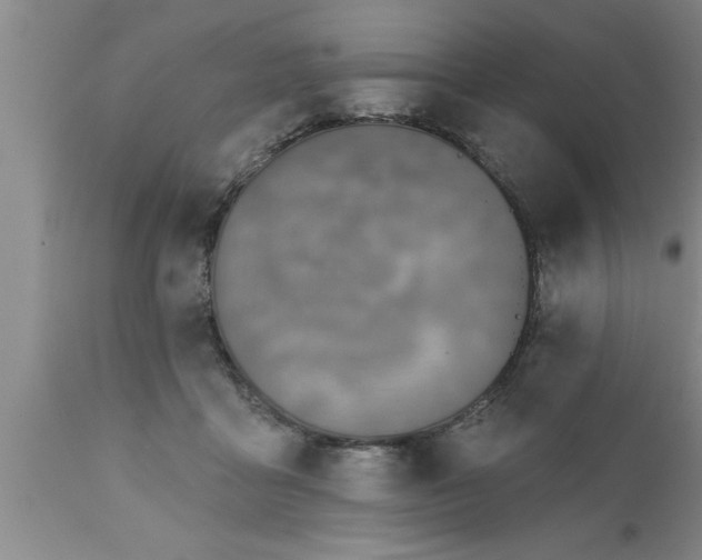 X0000111160411200907211231