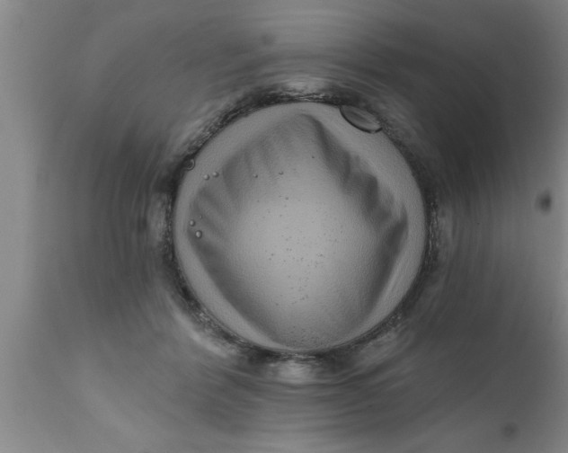 X0000111160412200907211231