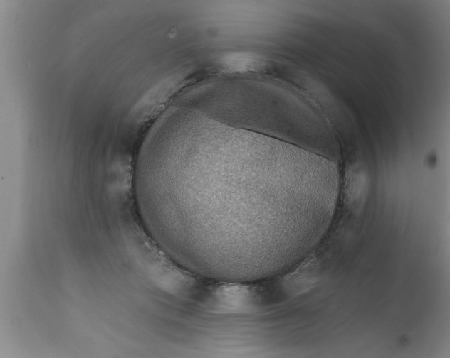 X0000111160413200907211231