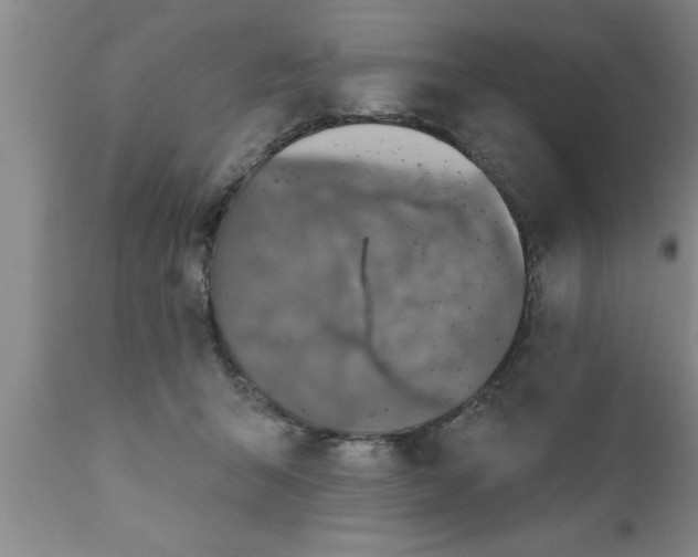 X0000111160415200907211231