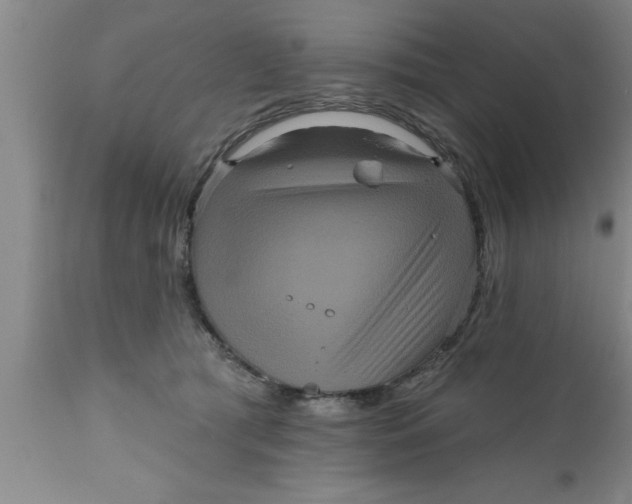 X0000111160417200907211231