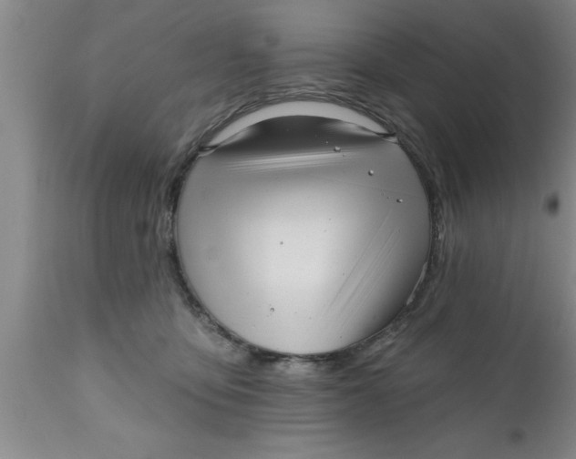 X0000111160419200907211231