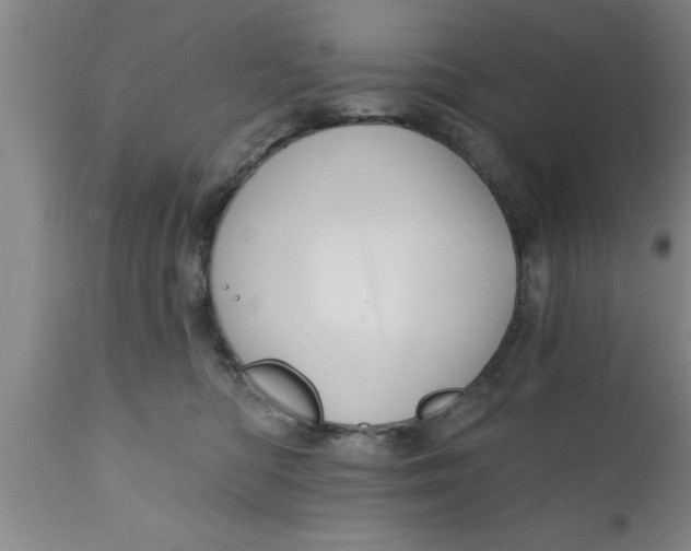 X0000111160422200907211231