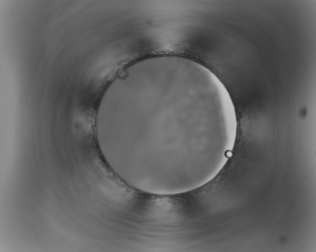 X0000111160423200907211231