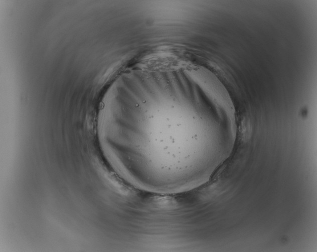 X0000111160424200907211231