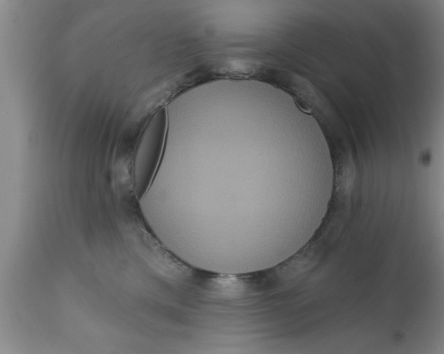 X0000111160425200907211231