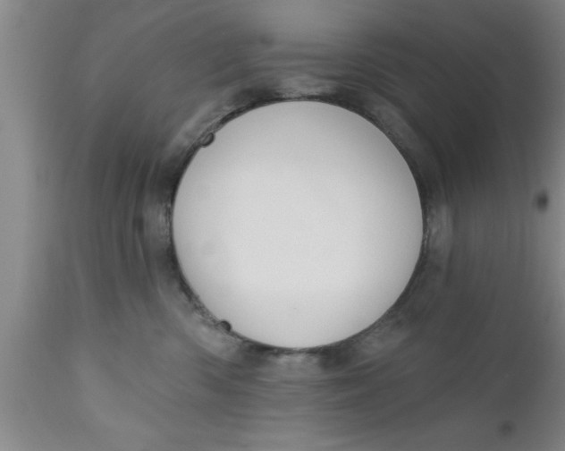 X0000111160426200907211231