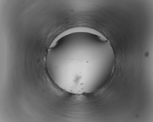 X0000111160427200907211231