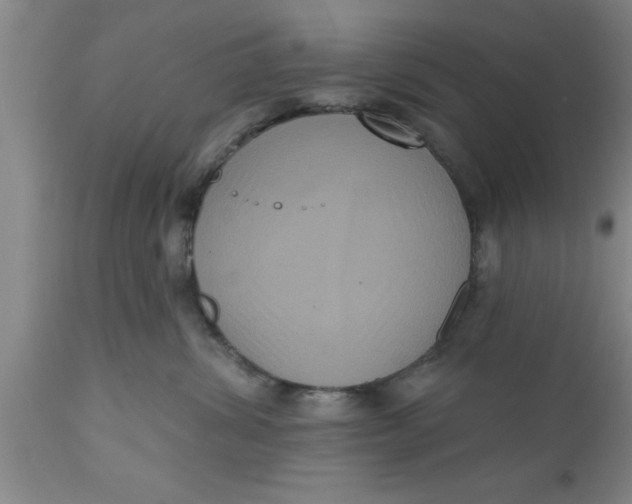 X0000111160428200907211231