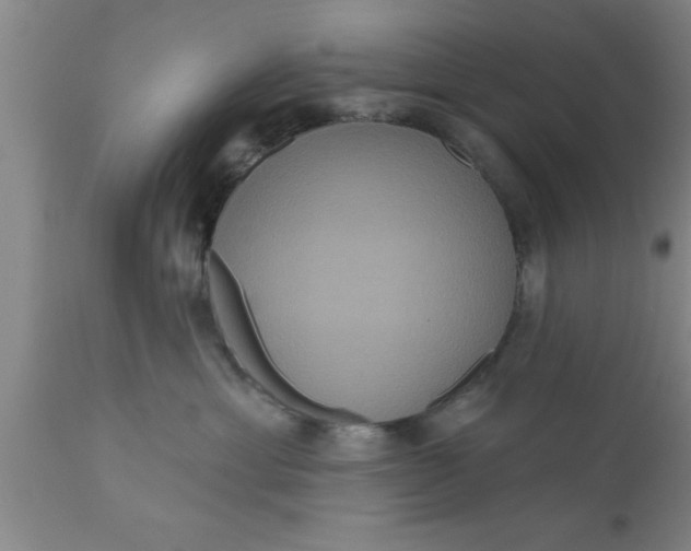 X0000111160429200907211231