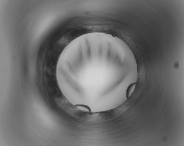 X0000111160430200907211231