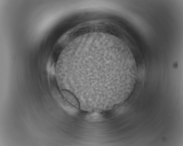 X0000111160431200907211231