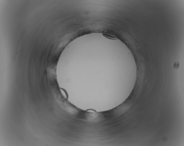 X0000111160432200907211231