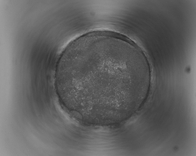 X0000111160434200907211230