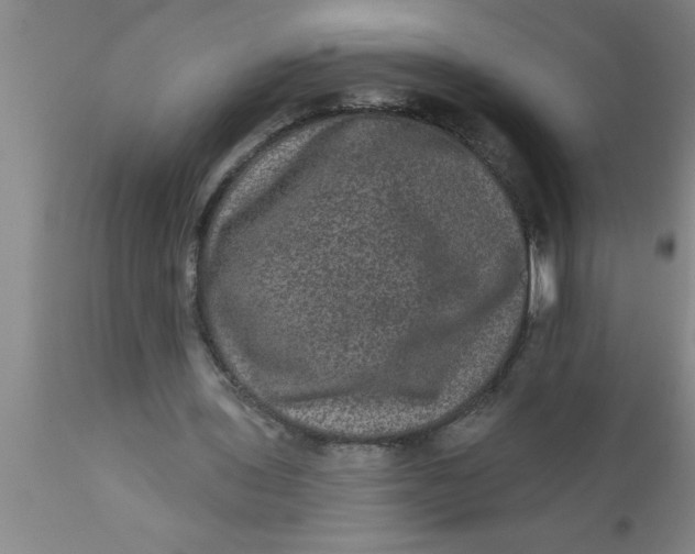 X0000111160435200907211230