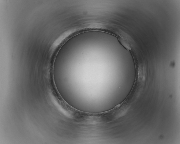 X0000111160436200907211230