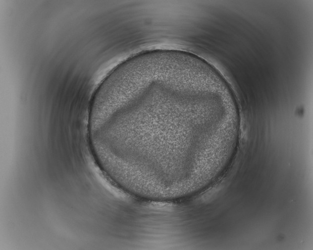 X0000111160437200907211230