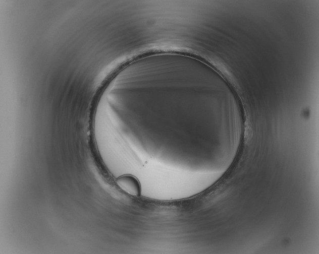 X0000111160438200907211230