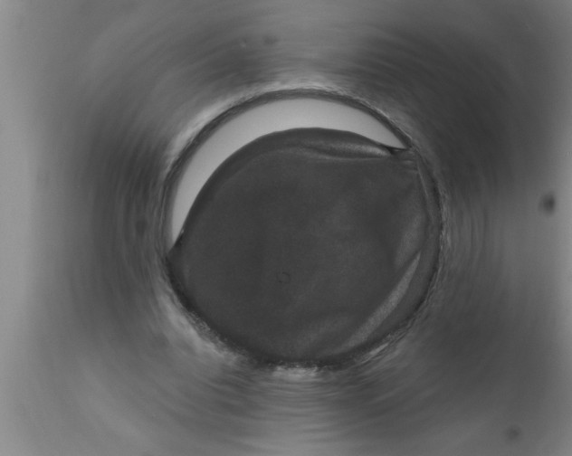 X0000111160440200907211230