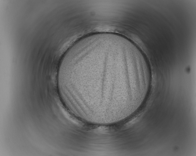 X0000111160441200907211230