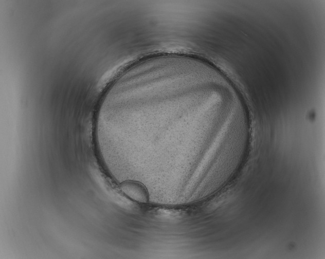 X0000111160442200907211231