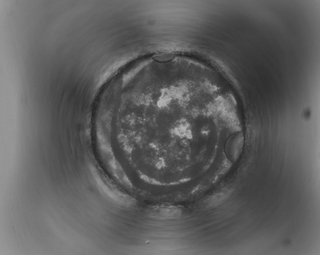 X0000111160443200907211231