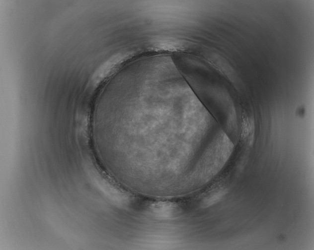 X0000111160444200907211231