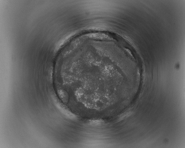 X0000111160446200907211231