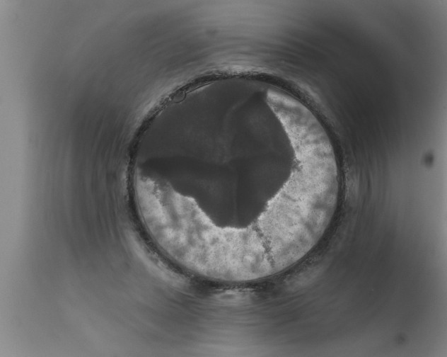 X0000111160447200907211231