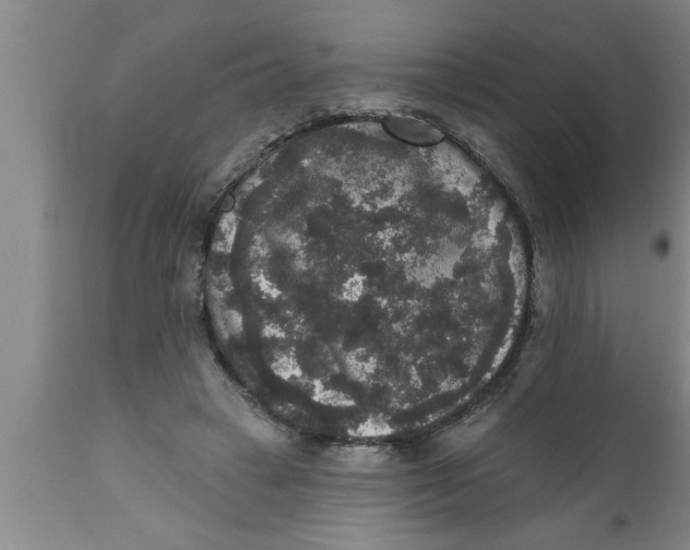 X0000111160449200907211231