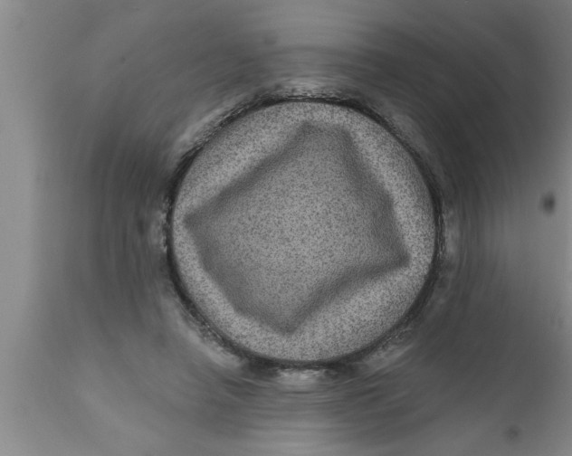 X0000111160450200907211231