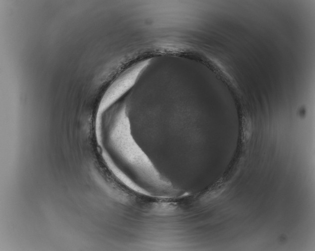 X0000111160451200907211231