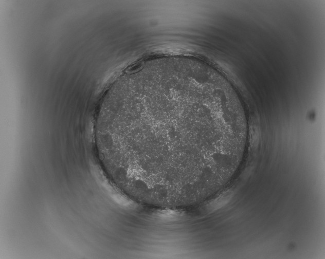 X0000111160453200907211231