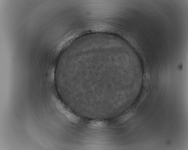 X0000111160454200907211231