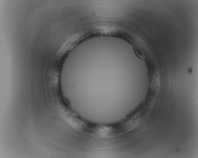 X0000111160456200907211231