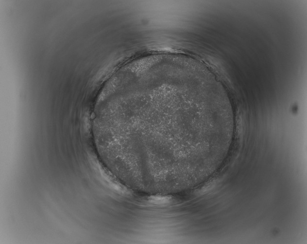 X0000111160457200907211231