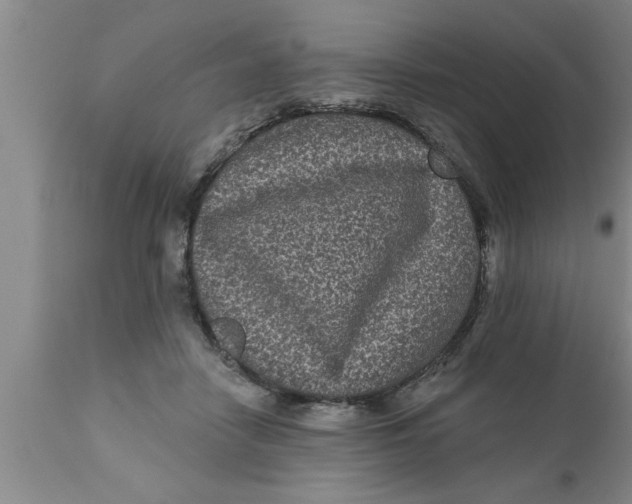 X0000111160458200907211231