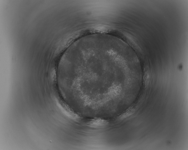 X0000111160459200907211231