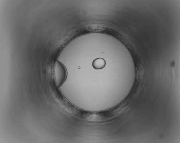 X0000111160460200907211231