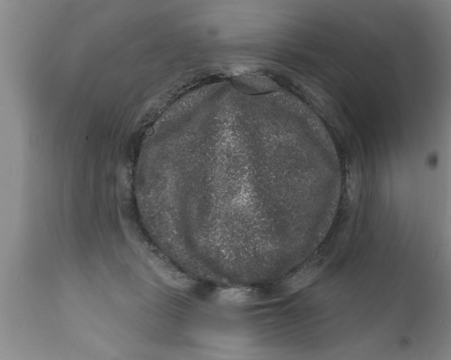 X0000111160461200907211231