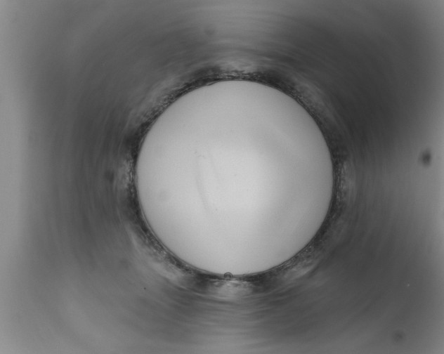 X0000111160463200907211231