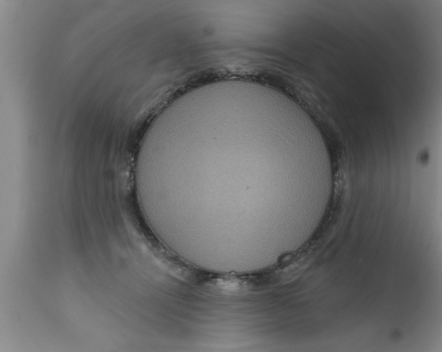 X0000111160464200907211231