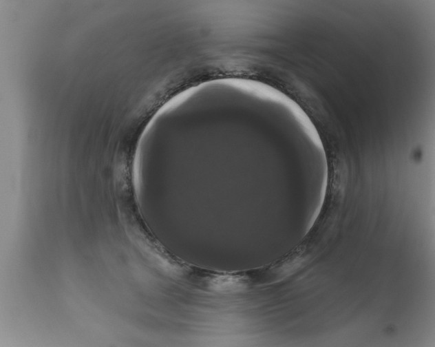 X0000111160465200907211231