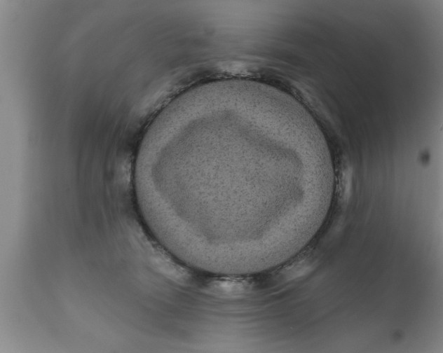 X0000111160466200907211231