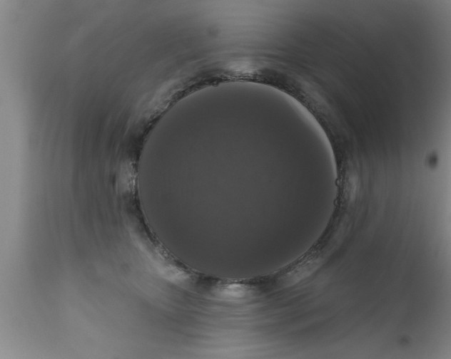 X0000111160467200907211231