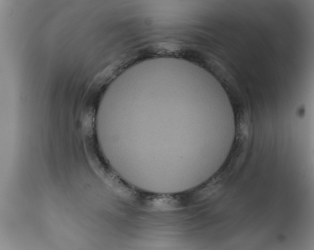 X0000111160468200907211231