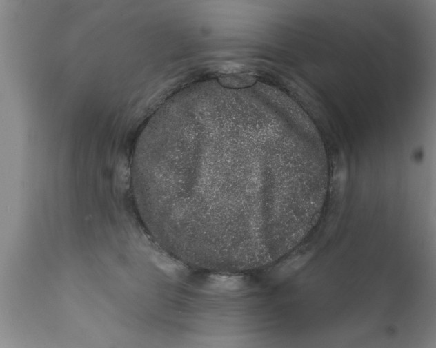 X0000111160469200907211231